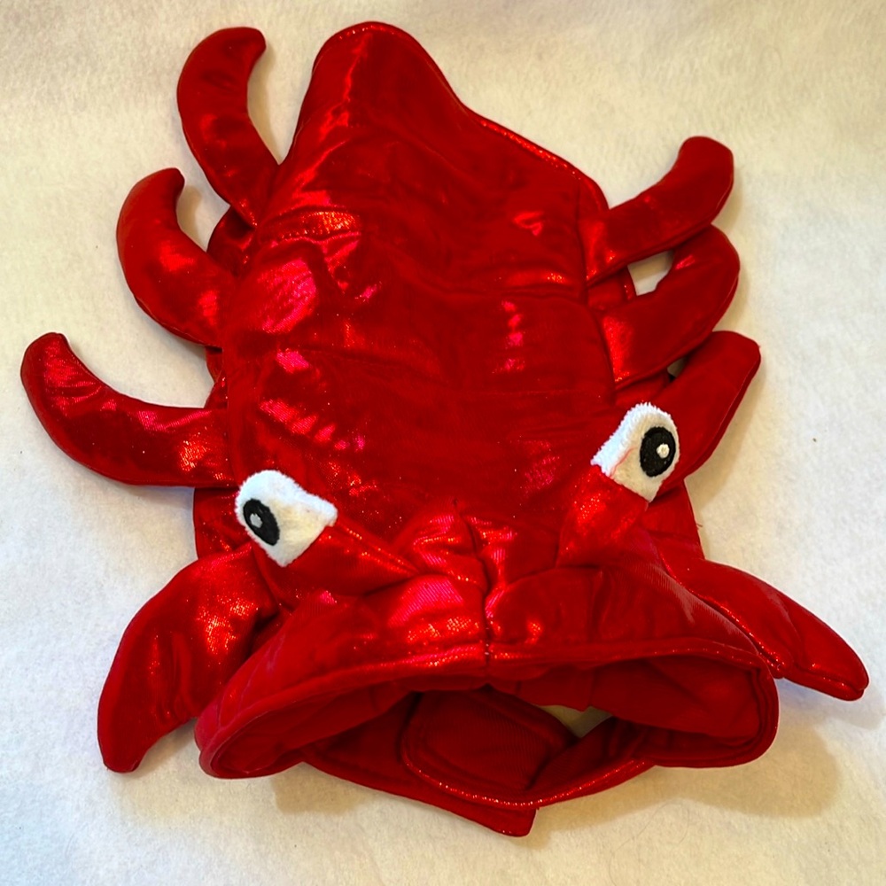 Dog costume - Lobster 🦞 size small! GUC!